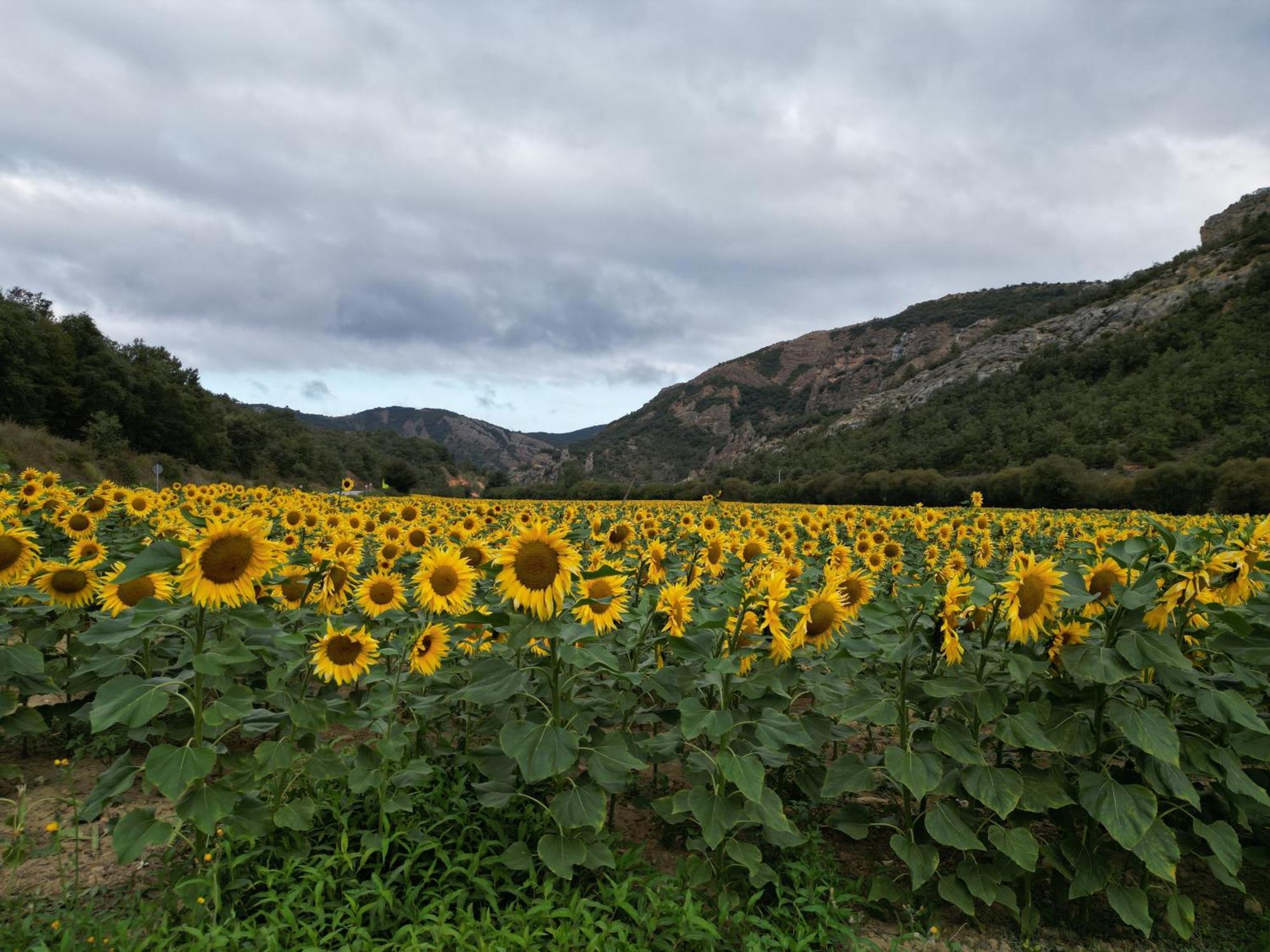 Hotel Rural Rio Molinar Ranera ภายนอก รูปภาพ